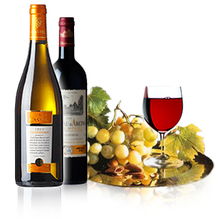 佳酿天成，品味非凡——XX酒业公司简介